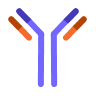 Antibody innovative drugs