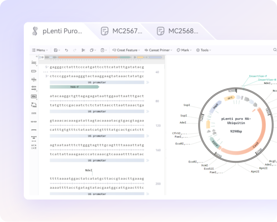 Target validation and antibody discovery: from intelligent design to high-throughput screening